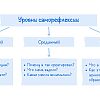 Саморефлексия