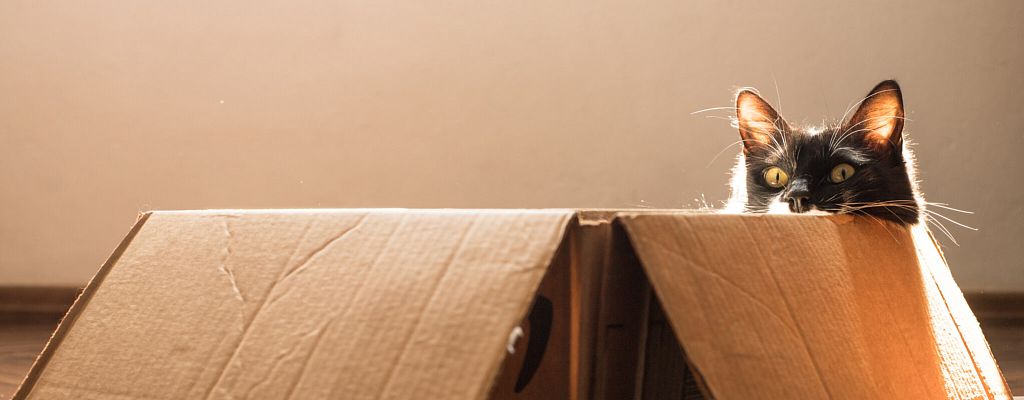 Как организовать переезд и не потерять голову