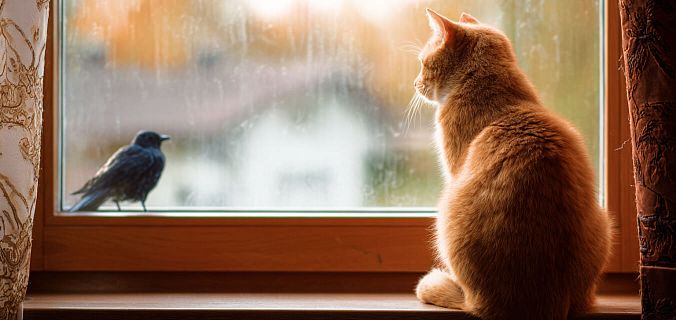 Как развить самоконтроль