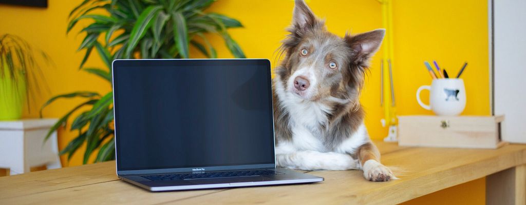 Как организовать работу на удалёнке: 6 практических советов