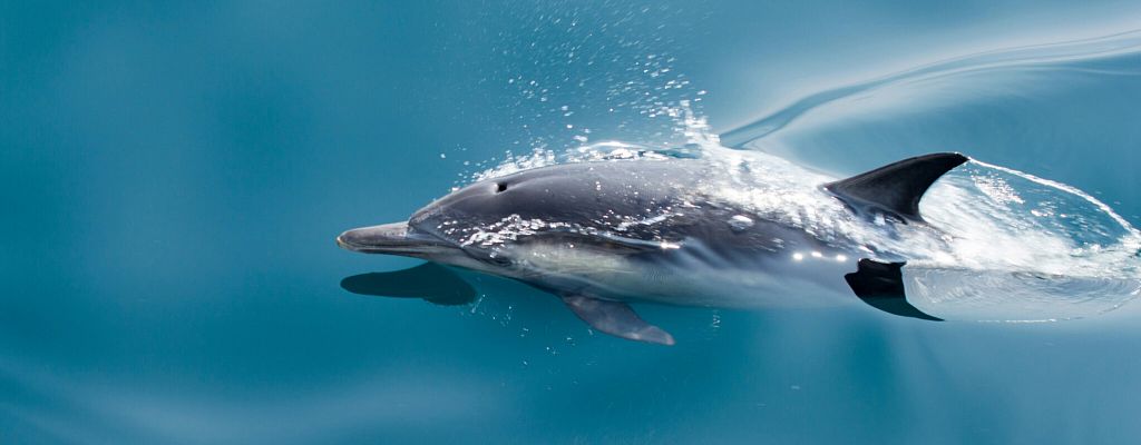 Ошибка выжившего: при чём тут планирование