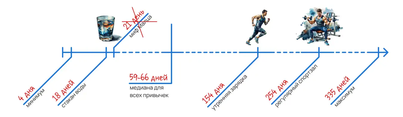 Временная шкала формирования привычки с примерами