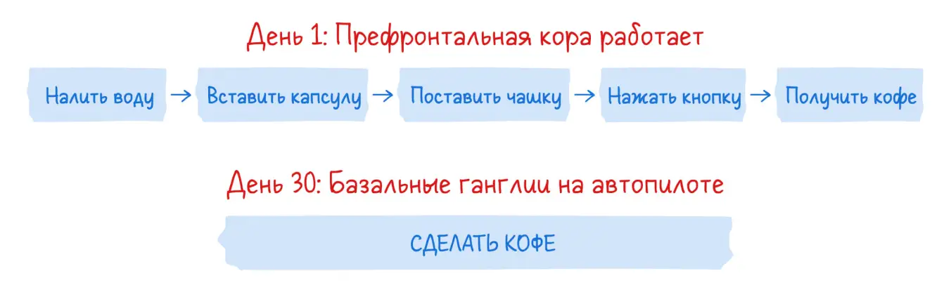 Процесс формирования привычки: от сознательного контроля к автоматизму