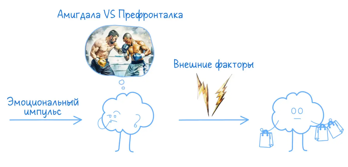 Как работает импульсивность: от эмоции до действия