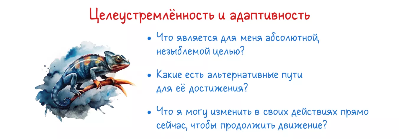 Инструментарий гибкого упрямца: целеустремленность и адаптивность