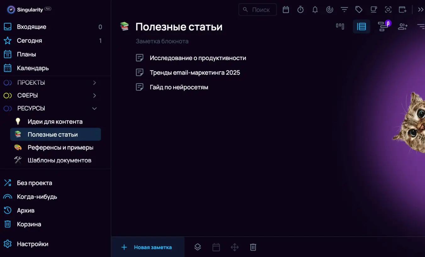 Блокноты с заметками в приложении-планировщике SingularrityApp.