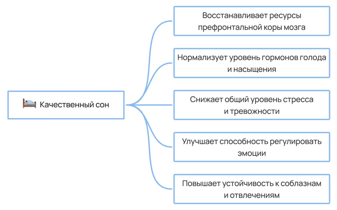 Как качественный сон улучшает навыки самоконтроля