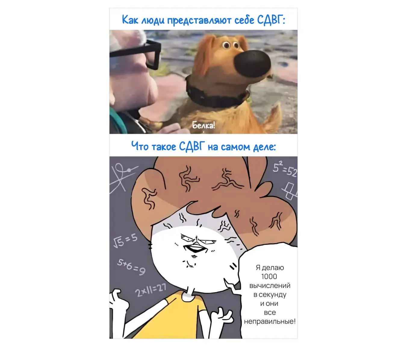 Мем про СДВГ: стереотип vs реальность синдрома