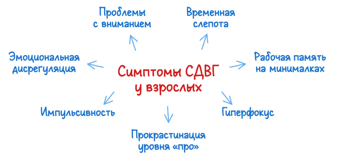 Основные симптомы СДВГ у взрослых: инфографика