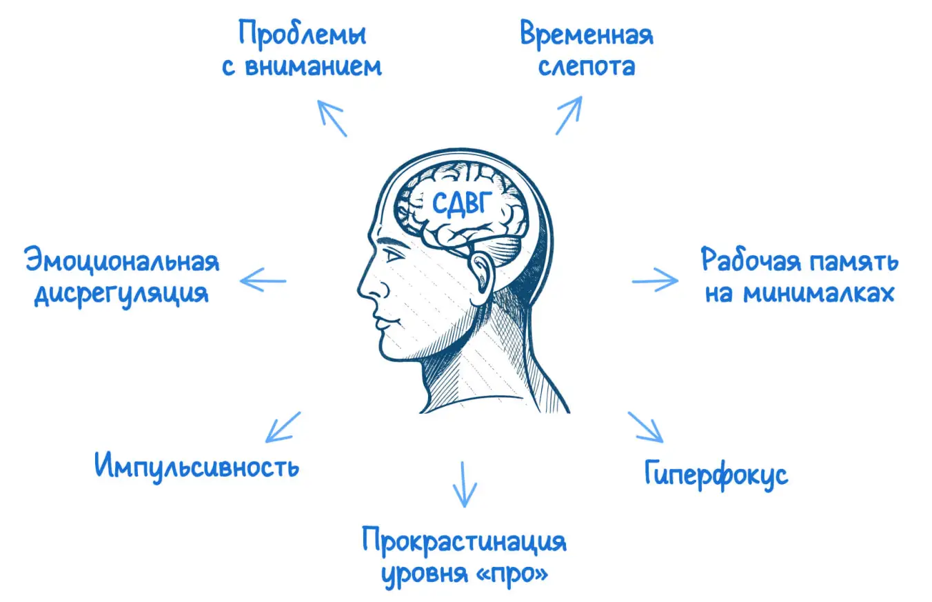 Основные симптомы СДВГ у взрослых: инфографика