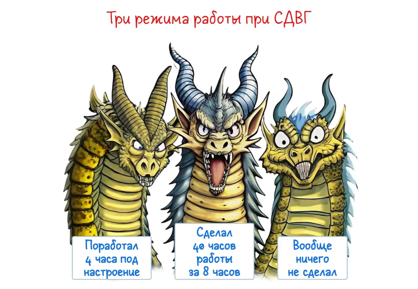 Три режима работы при СДВГ: мем про скачки продуктивности