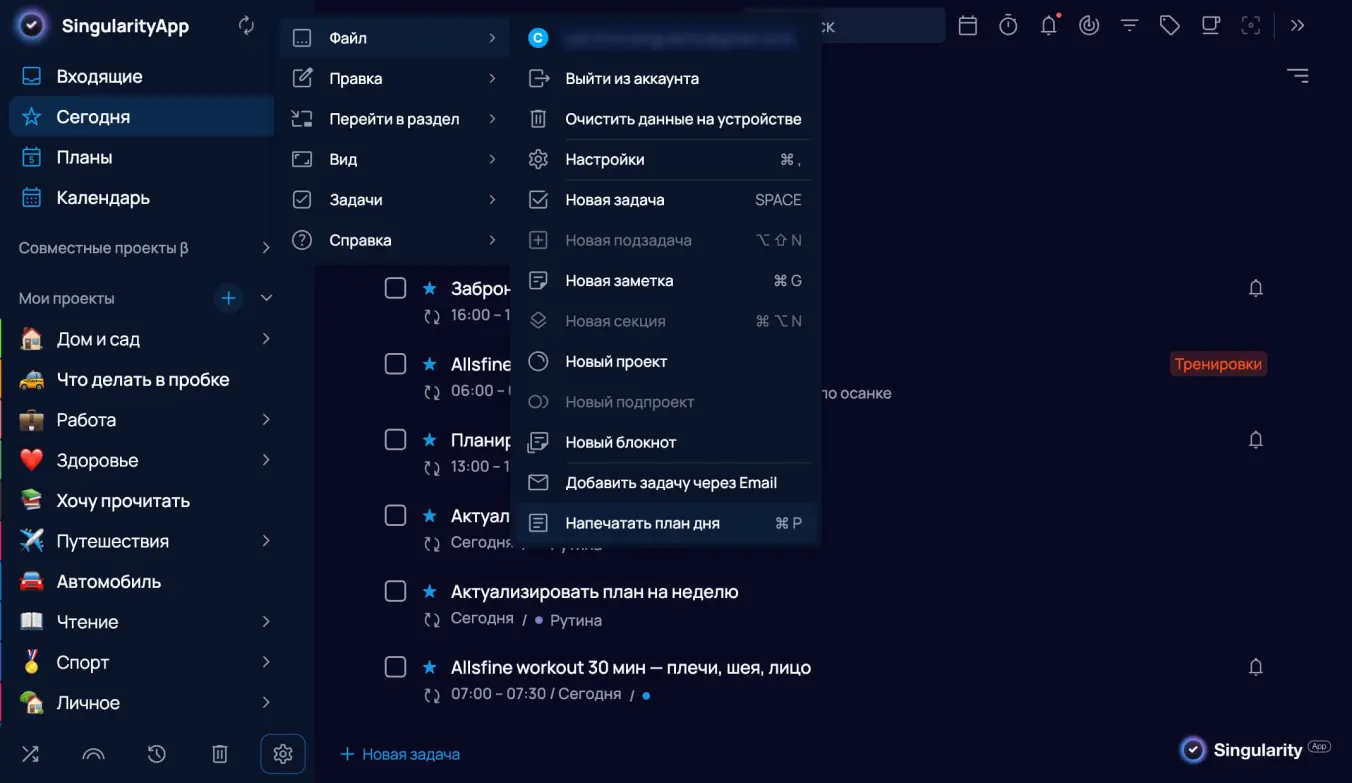 Опция распечатки плана на день