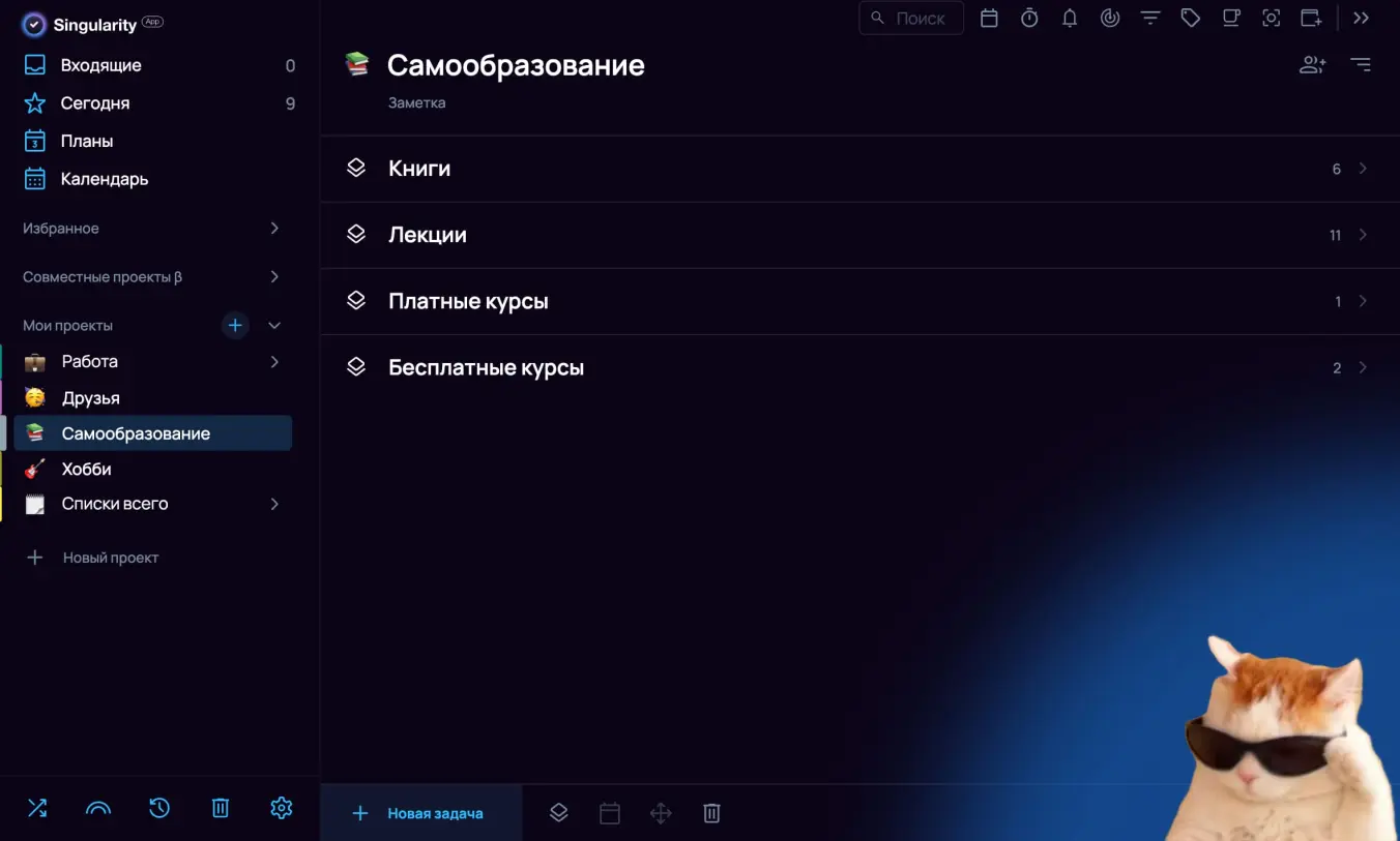 Проекты для work-life balance в планировщике SingularityApp