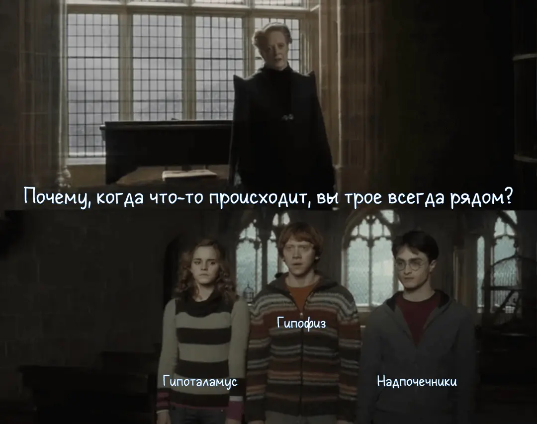 ГГН-ось: почему мы едим на нервах