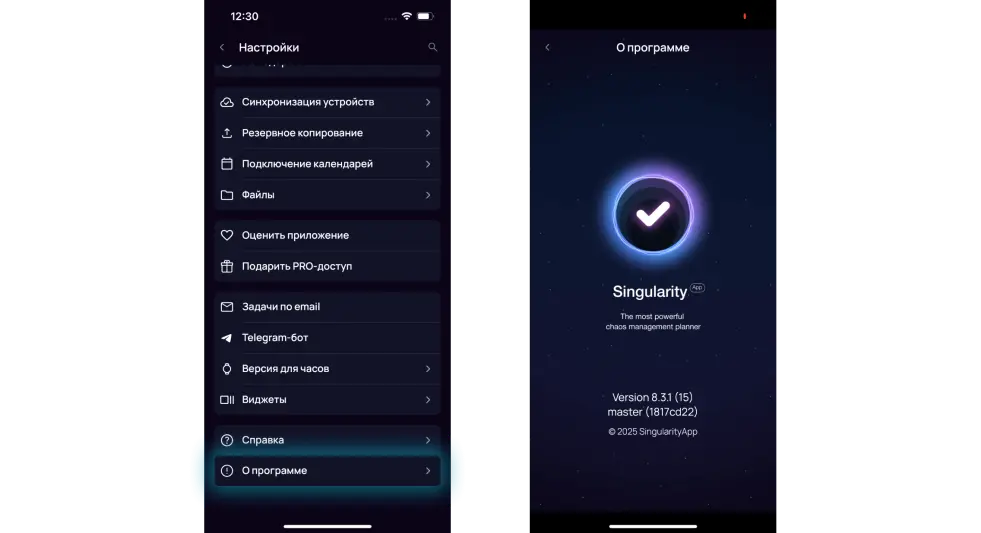 Версия мобильного приложения