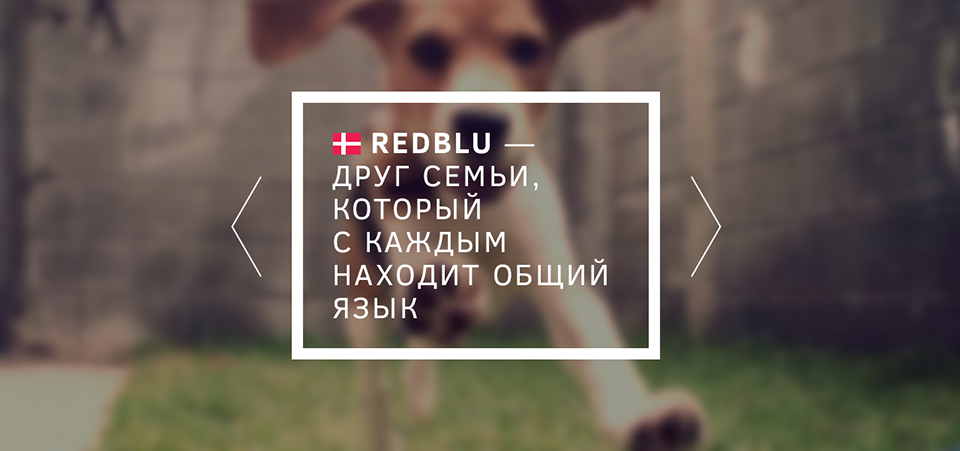 <p><b>На фоне одного блока в разделе «Бренд» по просьбе заказчика поселилась собака.</b></p><p>Своей счастливой мордой она олицетворяет любимца всей семьи, каким, по идее, должна стать продукция RedBlu.</p>